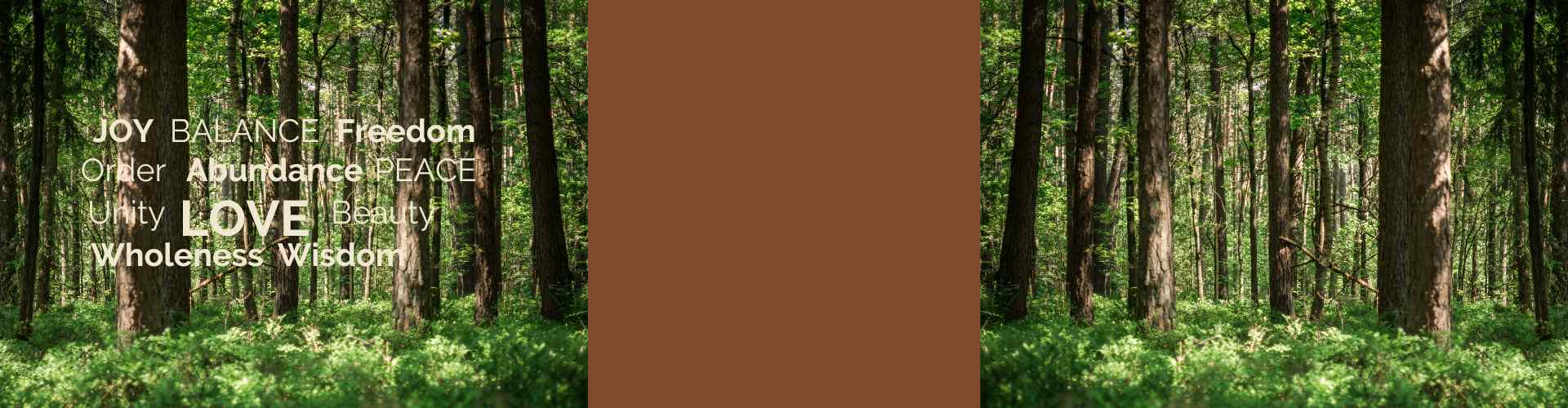 Words of positivity over a sunlit green forest scene.